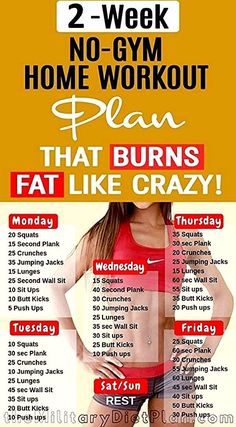 2 Week Workout Plan, 2 Week Workout, Lose Belly Fat Workout