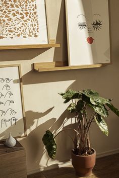 a plant in a pot next to two framed pictures