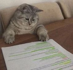 a cat sitting on top of a wooden table next to a white sheet of paper