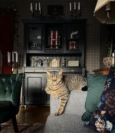 a cat sitting on the arm of a couch in a living room next to a book shelf