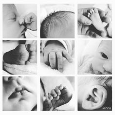 black and white photograph of baby's hand, feet, nose, head, mouth