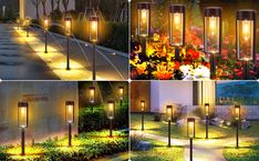 four different types of outdoor lights in various stages of lighting up the landscape and walkway