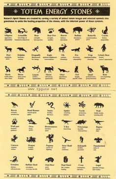 an old poster shows the different types of animals