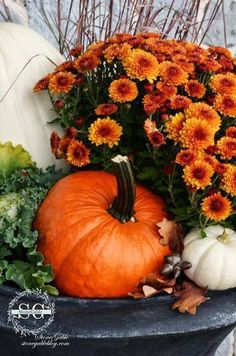 an arrangement of flowers and pumpkins in a black bowl