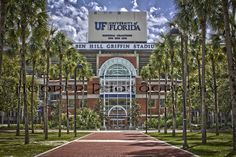 the university of florida campus entrance with palm trees