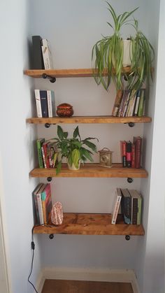 three wooden shelves with plants and books on them