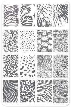 different animal print patterns are shown in black and white, with the same color as the background