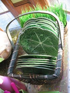 a basket filled with lots of green plates on top of a table covered in grass