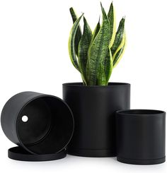 a potted plant sitting inside of a black container on top of a white surface