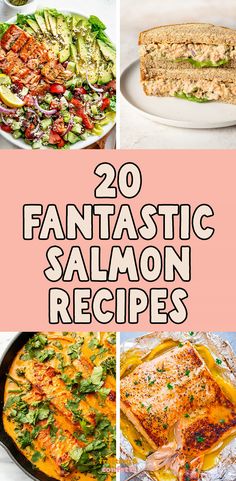 the top 20 fantasticly delicious and tasty salmon recipes that are easy to make