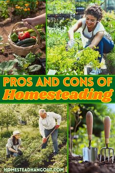 the cover of pros and cons of homescreening, with pictures of people working in their garden