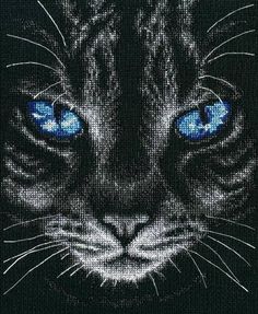 a black cat with blue eyes is featured in this cross stitch pattern, which shows the face