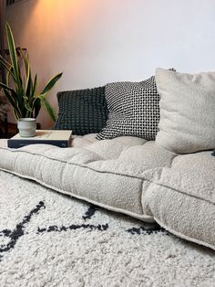 a living room with a couch, rug and potted plant