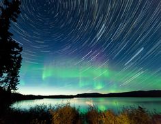 the night sky is filled with stars and aurora bores over a body of water