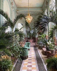 a room filled with lots of potted plants and greenery next to a chandelier