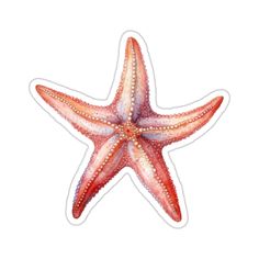 an orange and white starfish sticker on a white background