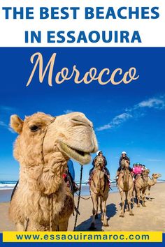 the best beaches in essaquira morocco with text overlay that reads,