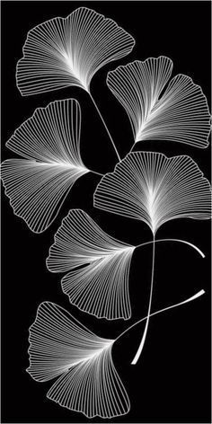 three white leaves on a black background