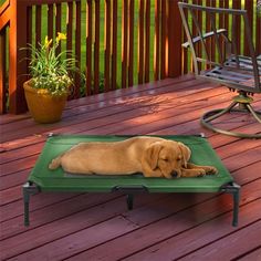 a brown dog laying on top of a blue bed in the middle of a wooden deck