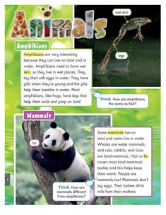 an animal's life cycle is shown in this graphic style, with information about the animals and their habitats