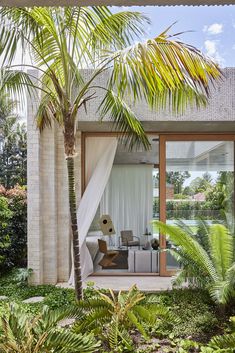 an outdoor living area with palm trees and white curtains