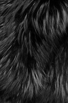 black and white photograph of fur texture