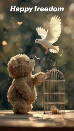 a teddy bear sitting next to a bird in a cage with the caption happy freedom