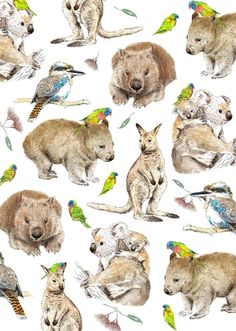 a group of animals that are sitting on top of each other in the same pattern