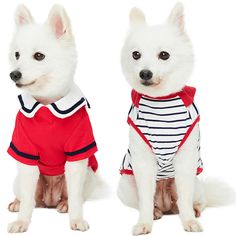 two dogs dressed up in sailor outfits sitting next to each other on a white background