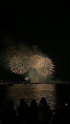 fireworks are lit up in the night sky over water with people sitting and watching them