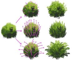 an image of plants that are growing in the ground and on top of each other