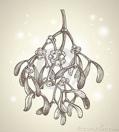 a drawing of some flowers on a branch