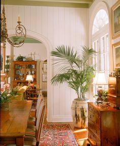 a dining room table with chairs and a potted palm tree in the corner next to it