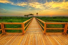 a wooden bridge with green grass and palm trees in the background