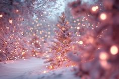 there are many lights on the trees in the snow