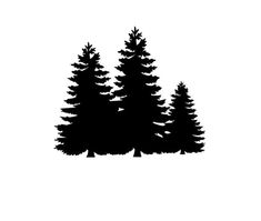 black and white silhouettes of pine trees on a white background with the words, ` '