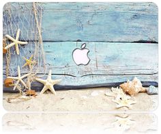 an apple logo on the side of a wooden wall with sea shells and starfish