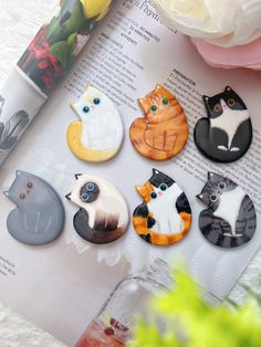 six cat magnets sitting on top of an open book with flowers in the background