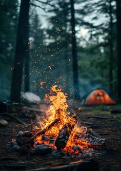 Camp Astethic, Camp Fire Photography, Nasa Space Pictures, Camp Fires, Forest Logo, Camping In The Woods, Camping Inspiration, Camping Photography, Fire Photography