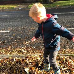 a little boy standing on top of leaves in the street