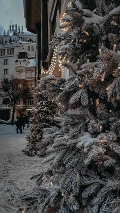 a snow covered tree in front of a building with lights on it's branches