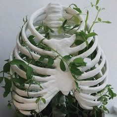 a model of the human body with plants growing out of it's ribcage