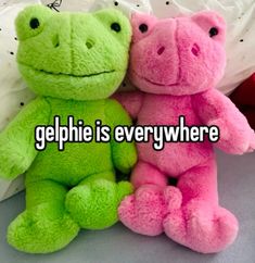 two stuffed animals sitting next to each other with the words gelphi is everywhere