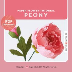 a pink flower in a vase with the text paper peony tutor only on it