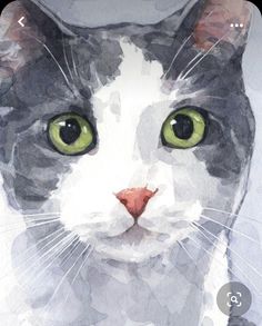 a watercolor painting of a grey and white cat's face with green eyes