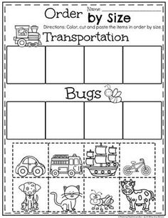 an order by size worksheet for transportation