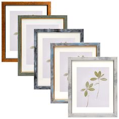 four framed art pieces with leaves on them