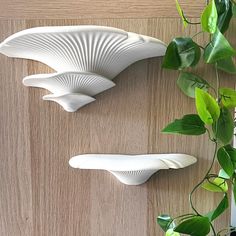 two white vases sitting on top of a wooden table next to a green plant