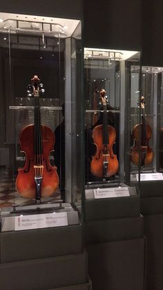 three cellos are on display in glass cases