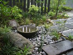 a garden with rocks and plants in it